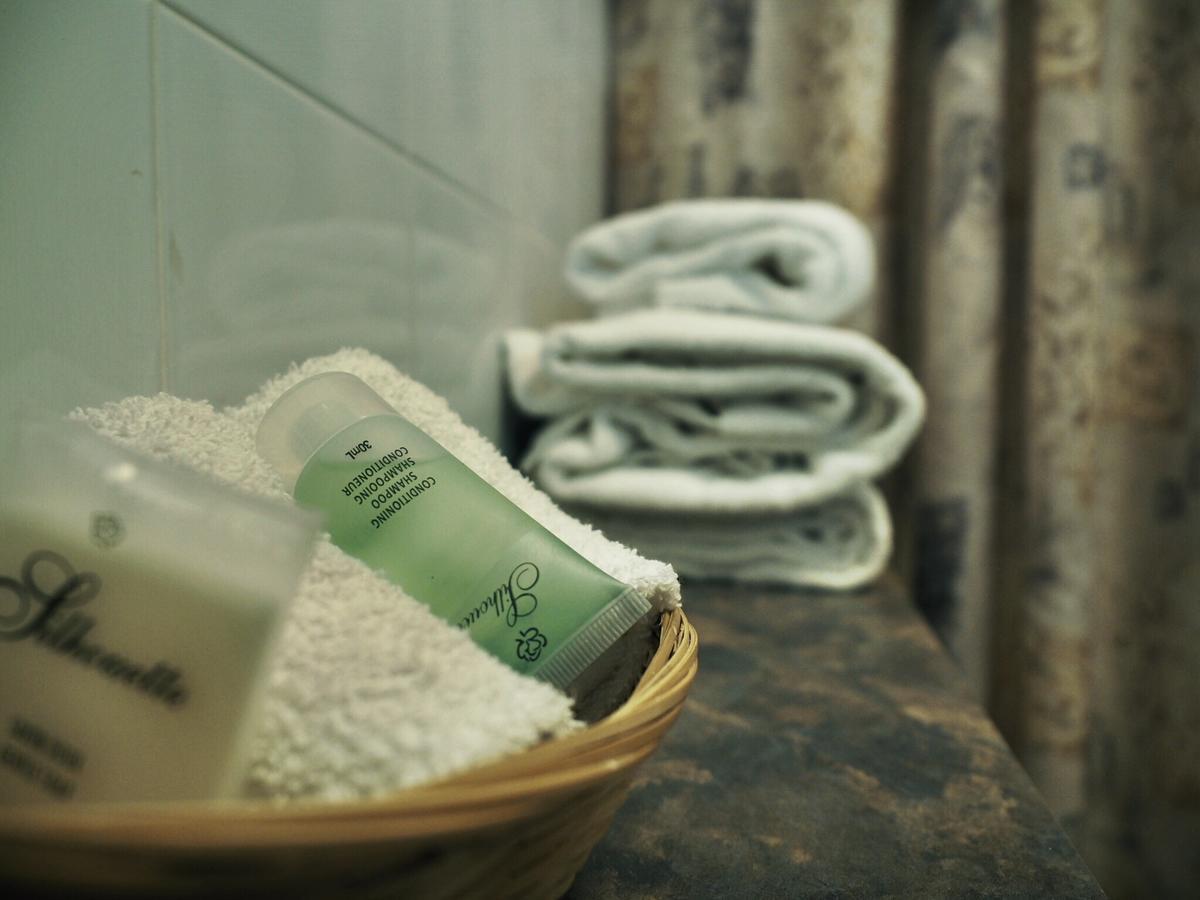 Hotel And Suites Les Laurentides Saint-Sauveur-des-Monts Екстериор снимка